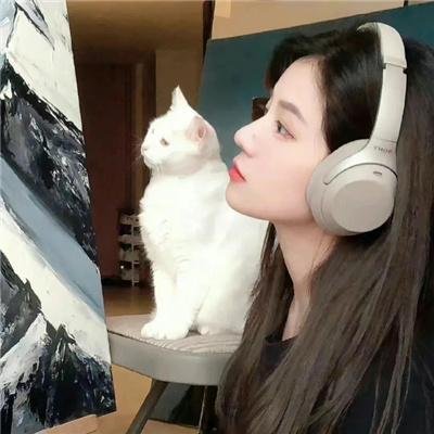 钢铁少女团封面